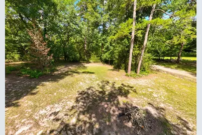 Tbd County Road 3145, Colmesneil, TX 75938 - Photo 9