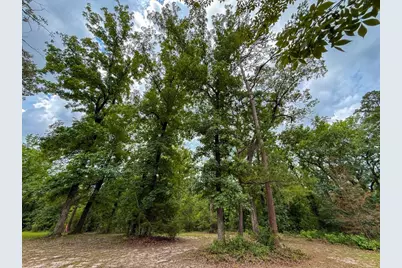 Tbd County Road 3145, Colmesneil, TX 75938 - Photo 5
