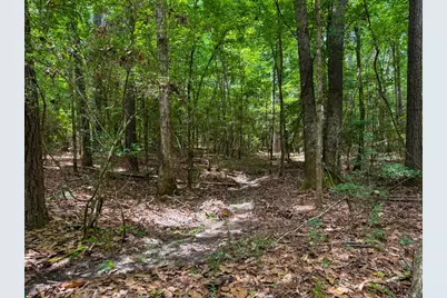 Tbd County Road 3145, Colmesneil, TX 75938 - Photo 37