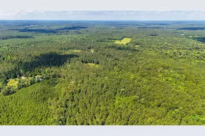 Tbd County Road 3145, Colmesneil, TX 75938 - Photo 29