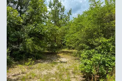 Tbd County Road 3145, Colmesneil, TX 75938 - Photo 15