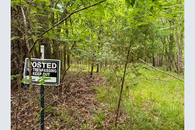 Tbd County Road 3145, Colmesneil, TX 75938 - Photo 21