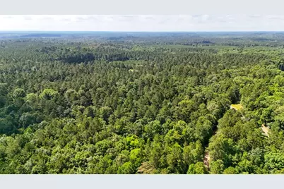 Tbd County Road 3145, Colmesneil, TX 75938 - Photo 19