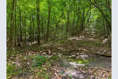 Tbd County Road 3145, Colmesneil, TX 75938 - Photo 25