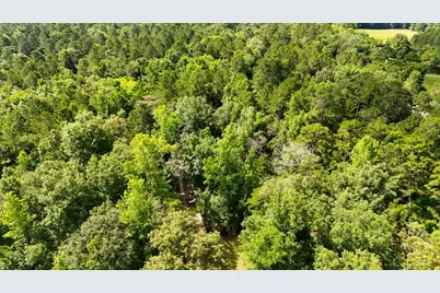 Tbd County Road 3145, Colmesneil, TX 75938 - Photo 11