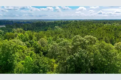 Tbd County Road 3145, Colmesneil, TX 75938 - Photo 43