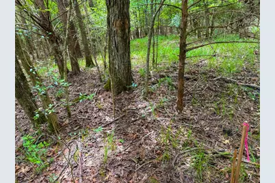Tbd County Road 3145, Colmesneil, TX 75938 - Photo 23