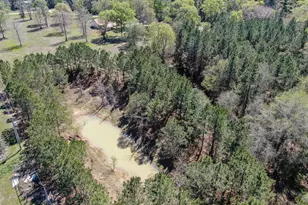 1780 Fm 3460 Rd, Shepherd, TX 77371 - Photo 5