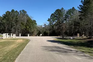 11604 Kirstens Ct, Montgomery, TX 77316 - Photo 29