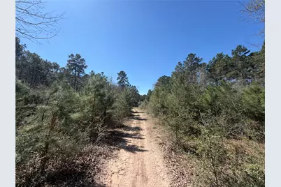 11604 Kirstens Court, Montgomery, TX 77316 - Photo 7