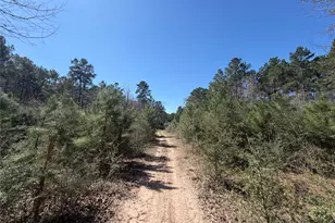 11604 Kirstens Ct, Montgomery, TX 77316 - Photo 7