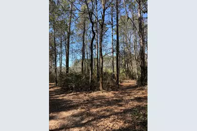 11604 Kirstens Court, Montgomery, TX 77316 - Photo 19