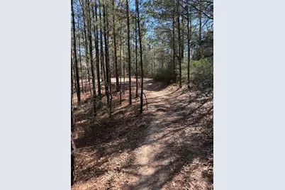 11604 Kirstens Court, Montgomery, TX 77316 - Photo 25