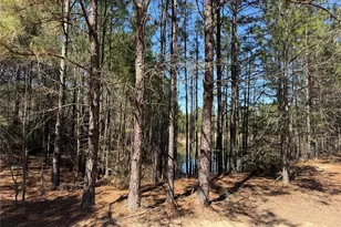 11604 Kirstens Ct, Montgomery, TX 77316 - Photo 3