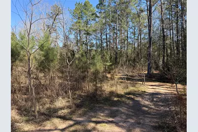 11604 Kirstens Court, Montgomery, TX 77316 - Photo 13