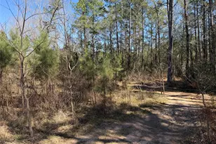 11604 Kirstens Ct, Montgomery, TX 77316 - Photo 13