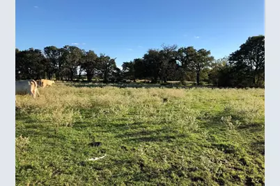 0080 County Road 415, Navasota, TX 77868 - Photo 23