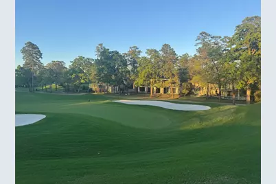 5 Buttonbush Court, The Woodlands, TX 77380 - Photo 21