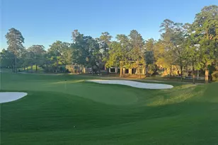 5 Buttonbush Ct, The Woodlands, TX 77380 - Photo 21