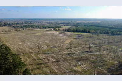 693 County Road 4700, Kennard, TX 75847 - Photo 5