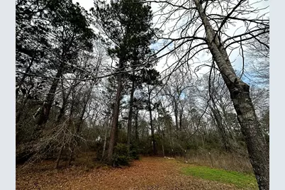 119 Cedar Forest Road, Corrigan, TX 75939 - Photo 27