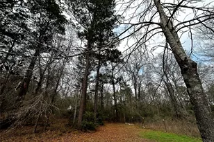 119 Cedar Forest Rd, Corrigan, TX 75939 - Photo 27