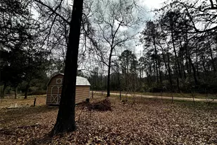 119 Cedar Forest Rd, Corrigan, TX 75939 - Photo 27