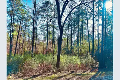 23 Wentworth Ln, Coldspring, TX 77331 - Photo 3