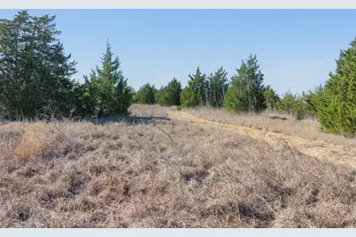 Tbd Hwy 237, Round Top, TX 78954 - Photo 15