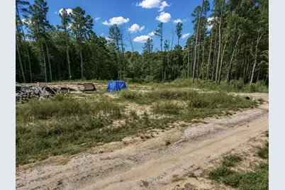 11238 Wildwood Lane, Plantersville, TX 77363 - Photo 3