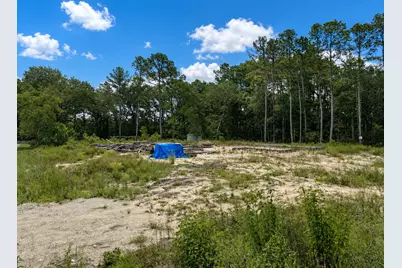 11238 Wildwood Lane, Plantersville, TX 77363 - Photo 7
