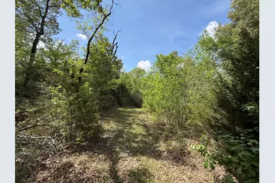 740 Bridget Avenue, Buffalo, TX 75831 - Photo 17