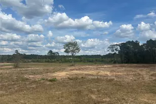 18074 Hill Rd, Cleveland, TX 77328 - Photo 15