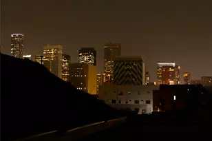 1630 Dennis St, Houston, TX 77004 - Photo 33