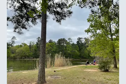 19753 Flag View Drive, Montgomery, TX 77316 - Photo 39