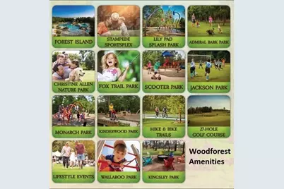 115 Buckeye Drive, Montgomery, TX 77316 - Photo 47