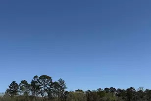 32114 Pond Pine Ct, Spring, TX 77385 - Photo 7