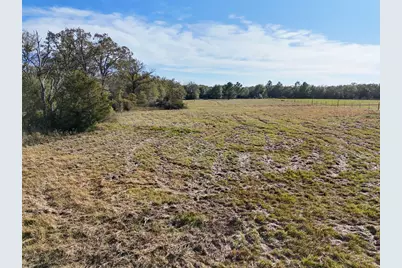 14968 Fm 1696 Road, Bedias, TX 77831 - Photo 31