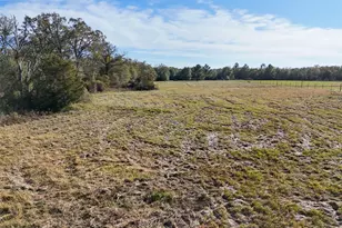 14968 Fm 1696 Rd, Bedias, TX 77831 - Photo 31