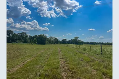 00034 County Road 155, Bedias, TX 77831 - Photo 7