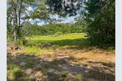 00034 County Road 155, Bedias, TX 77831 - Photo 9