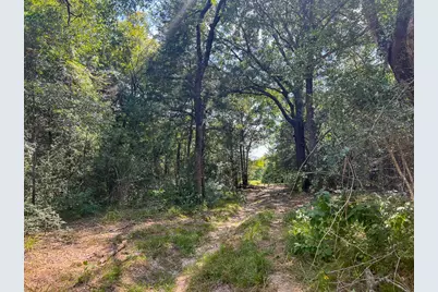 00034 County Road 155, Bedias, TX 77831 - Photo 3