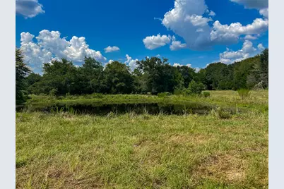 00034 County Road 155, Bedias, TX 77831 - Photo 15