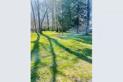 00 Shady Lane, Livingston, TX 77351 - Photo 5