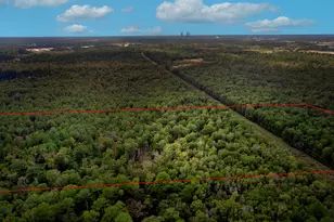 7 73 Acres, Conroe, TX 77385 - Photo 5