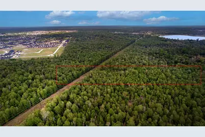 7.73 Acres, Conroe, TX 77385 - Photo 3