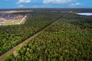 7 73 Acres, Conroe, TX 77385 - Photo 3