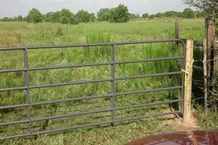 3466 Fm 362 Rd, Pattison, TX 77423 - Photo 5