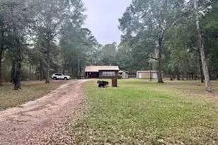 25881 Pine Oak Dr, Hockley, TX 77447 - Photo 1