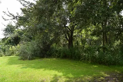 00 Belcher Road - Cr 397 Road, Manvel, TX 77578 - Photo 9